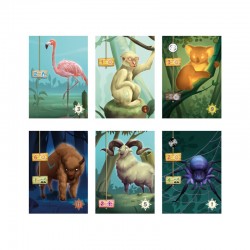 Living Forest - Cartes